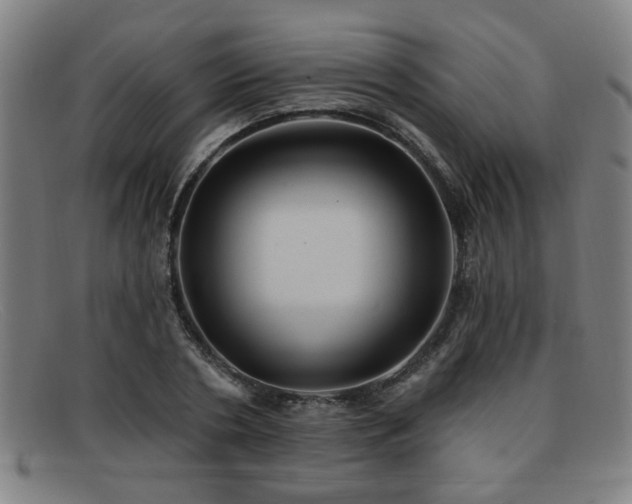 X0000092110786200709121617