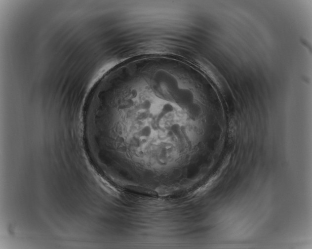 X0000092110787200709121617