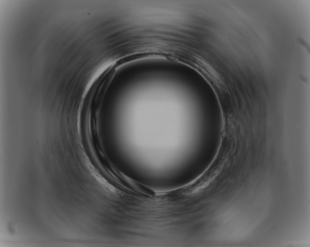 X0000092110788200709121617