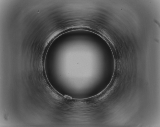 X0000092110789200709121617