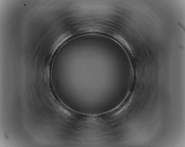 X0000092110790200709121617