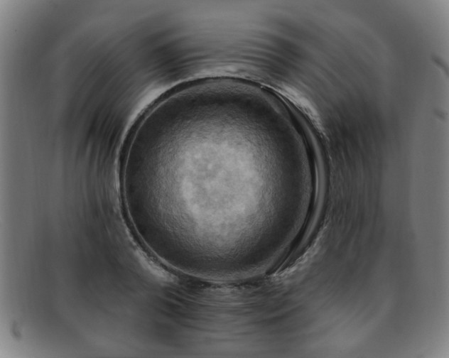 X0000092110792200709121617