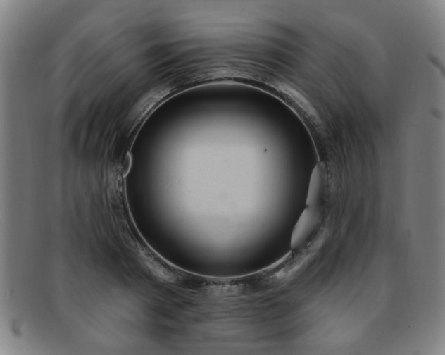 X0000092110793200709121617