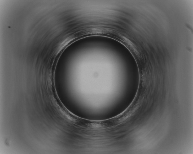 X0000092110794200709121617