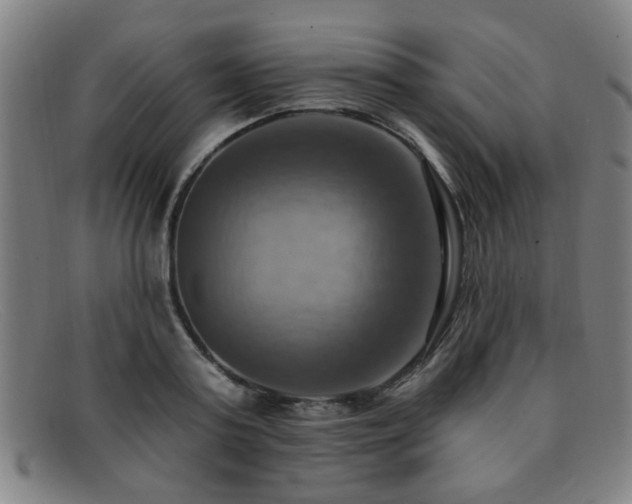 X0000092110795200709121617