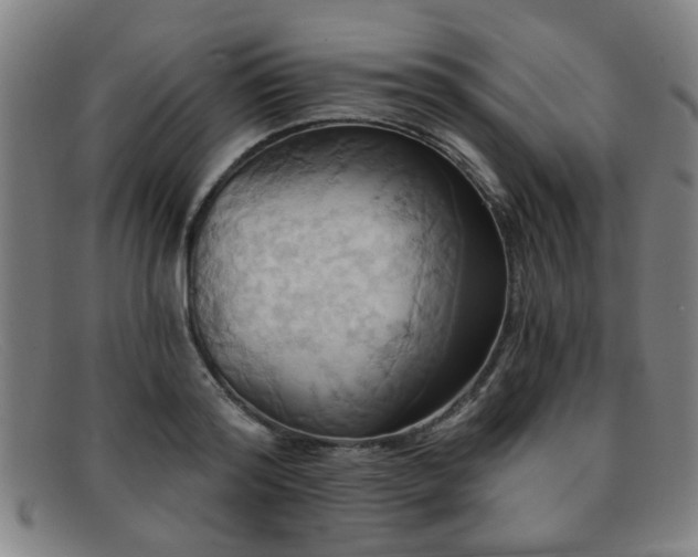 X0000092110796200709121617