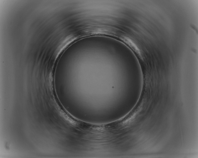 X0000092110798200709121617