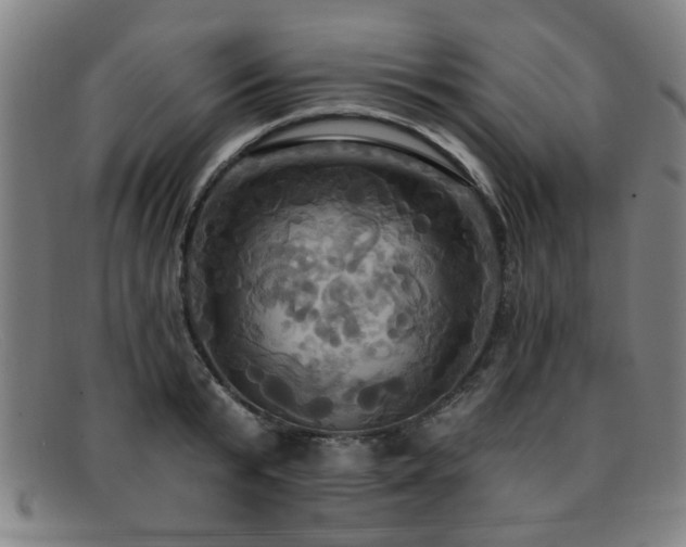 X0000092110799200709121617