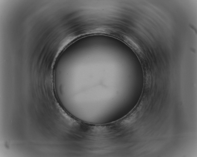 X0000092110800200709121617