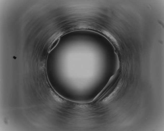 X0000092110801200709121617