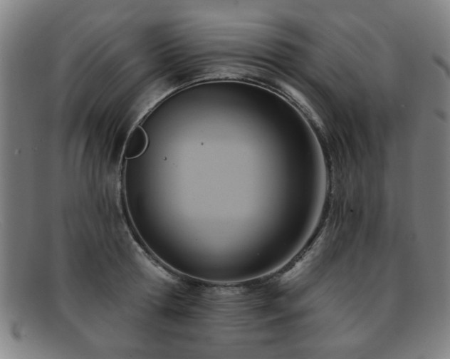 X0000092110802200709121617