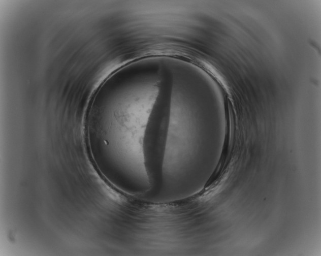 X0000092110803200709121617