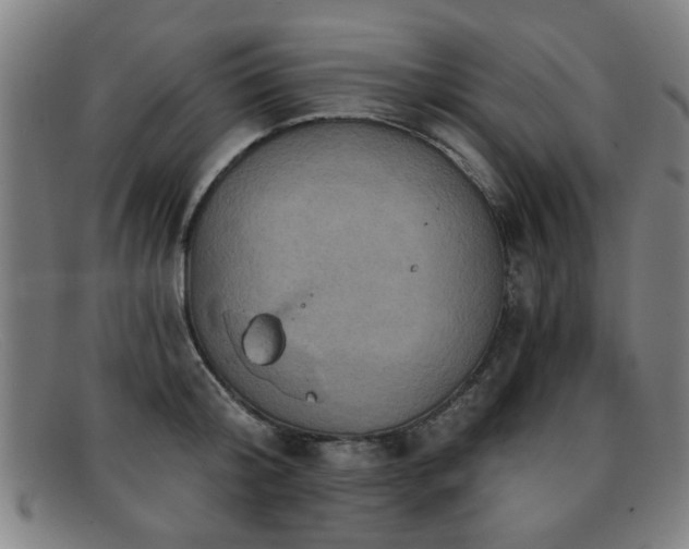 X0000092110804200709121617