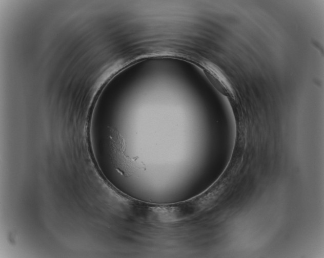 X0000092110805200709121617