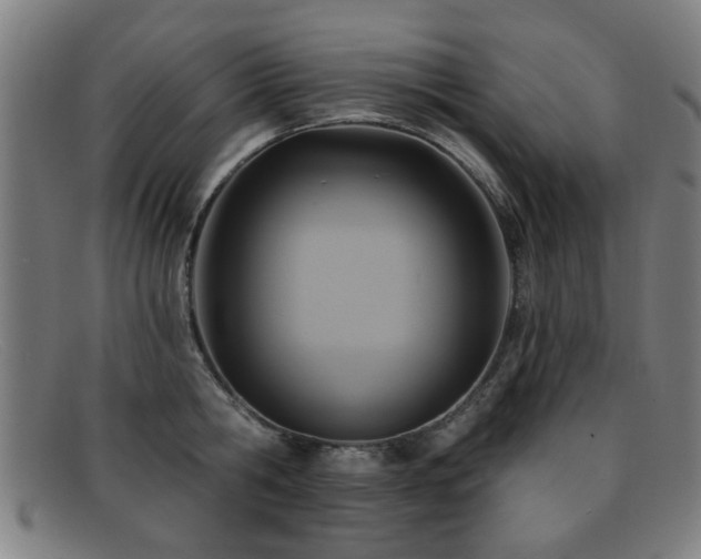 X0000092110806200709121617