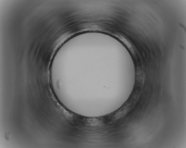 X0000092110807200709121617