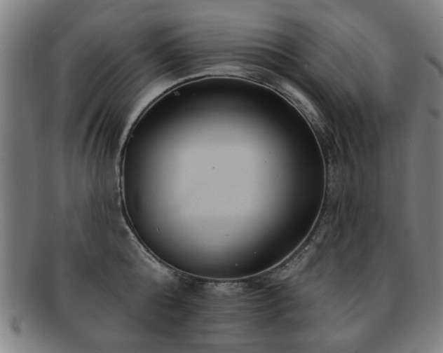 X0000092110808200709121617