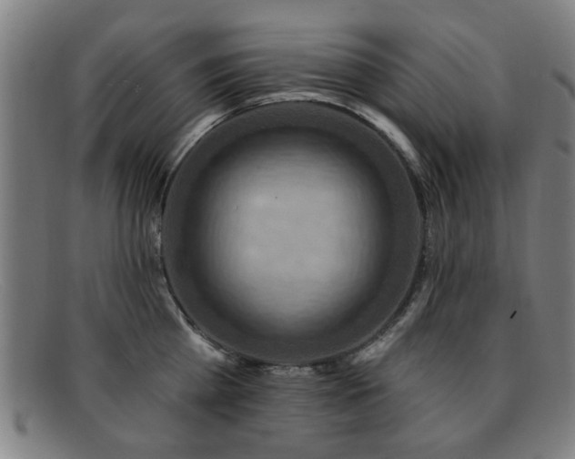 X0000092110809200709121617