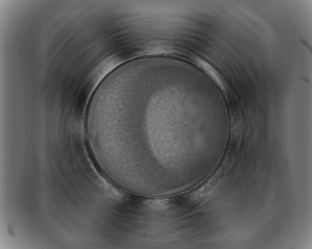 X0000092110810200709121617