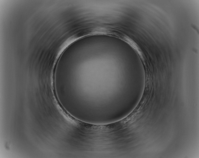 X0000092110811200709121617