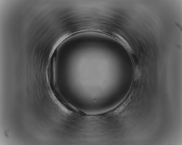 X0000092110812200709121617