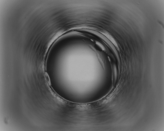 X0000092110813200709121617