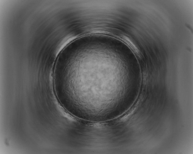 X0000092110814200709121617