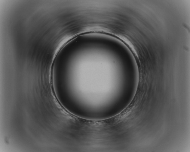 X0000092110815200709121617