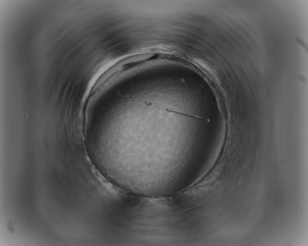 X0000092110816200709121617