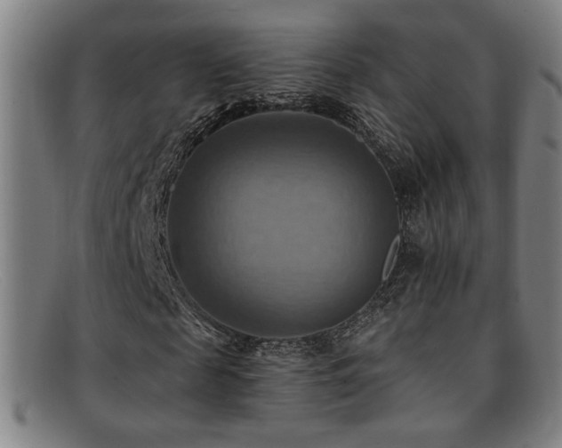 X0000092110817200709121616