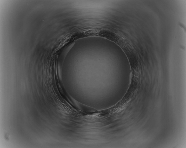 X0000092110818200709121616