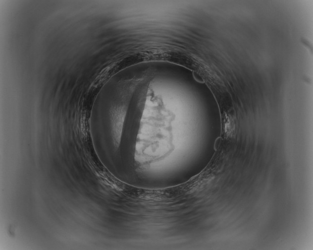 X0000092110819200709121616