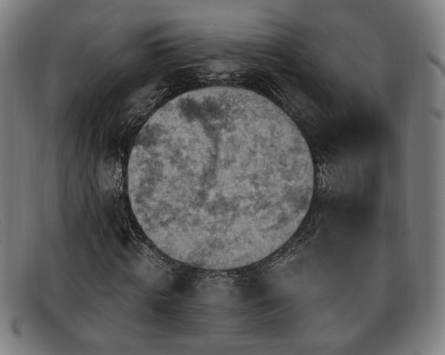 X0000092110820200709121616