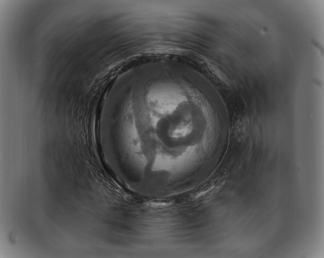 X0000092110821200709121616