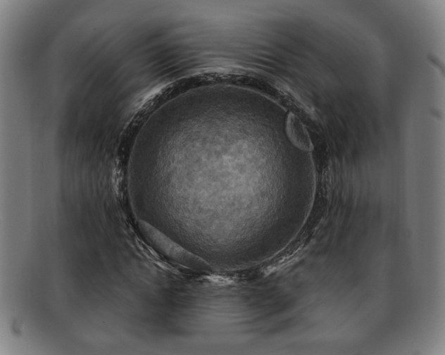 X0000092110822200709121616