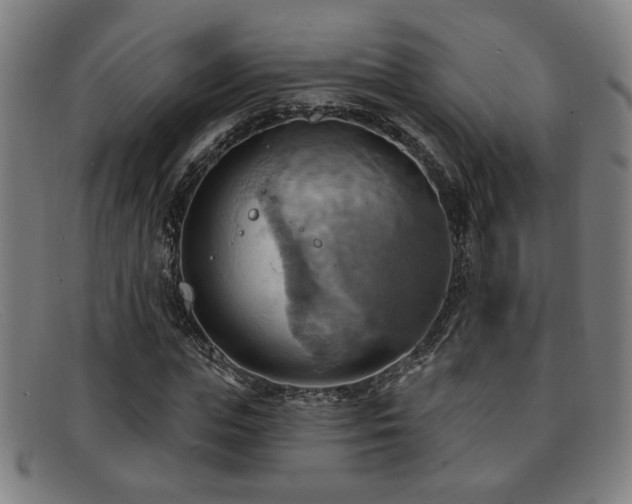 X0000092110823200709121616