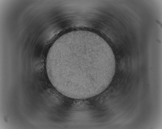 X0000092110824200709121616