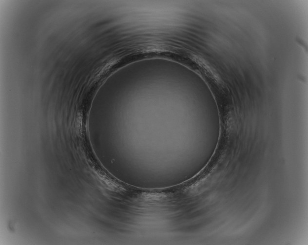 X0000092110825200709121616