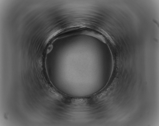 X0000092110826200709121616