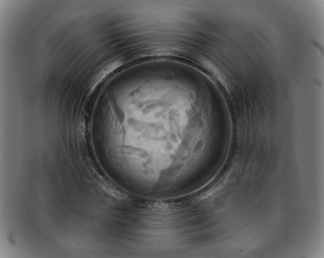 X0000092110827200709121616