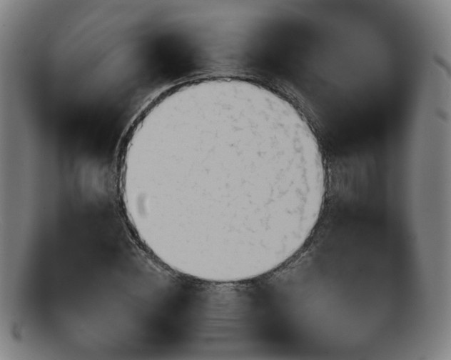 X0000092110828200709121616