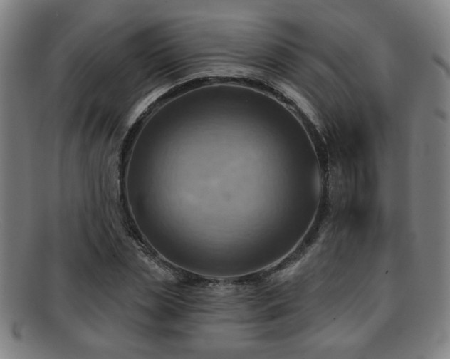 X0000092110829200709121616