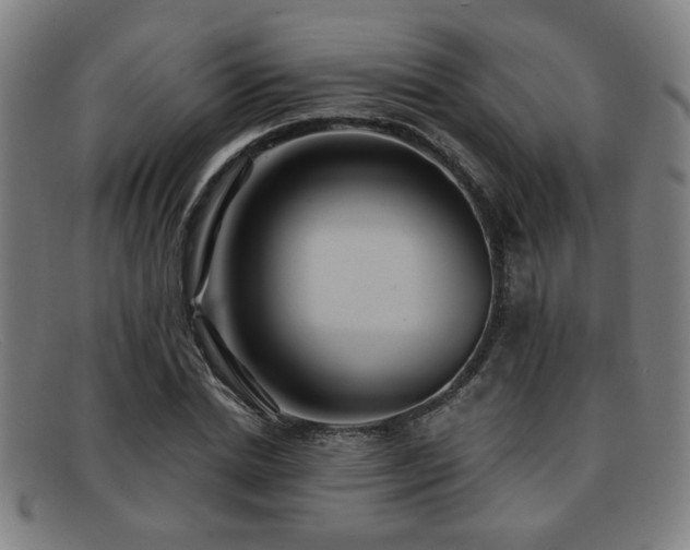 X0000092110830200709121616