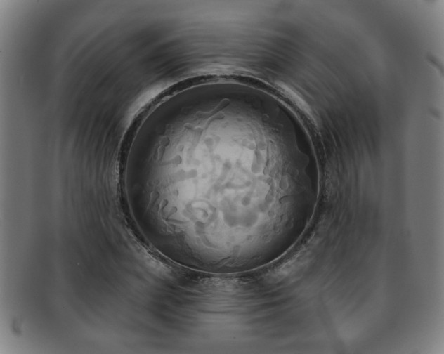 X0000092110831200709121617