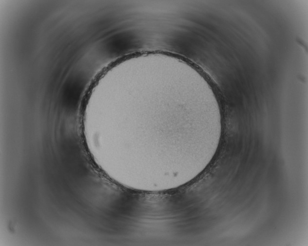 X0000092110832200709121617