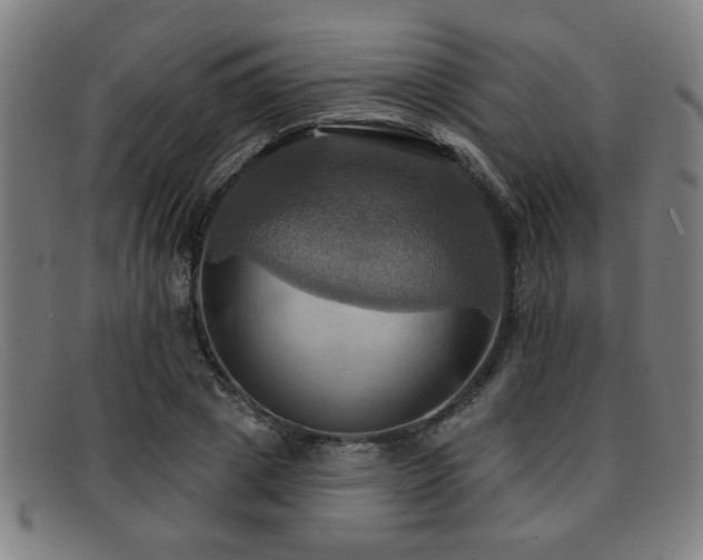 X0000092110833200709121617