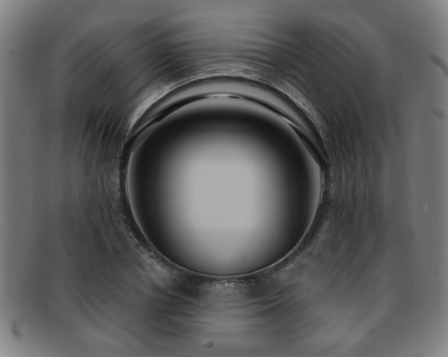 X0000092110834200709121617