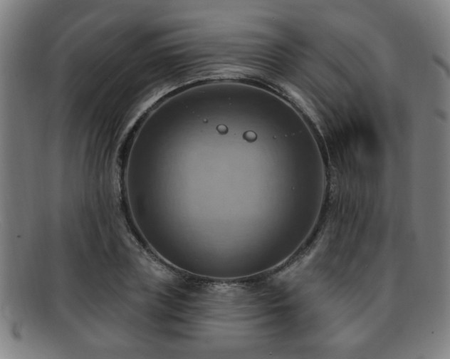 X0000092110835200709121617