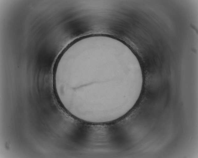 X0000092110836200709121617