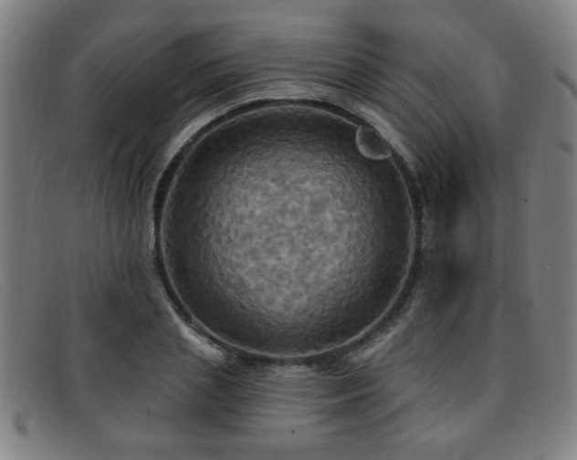 X0000092110837200709121617